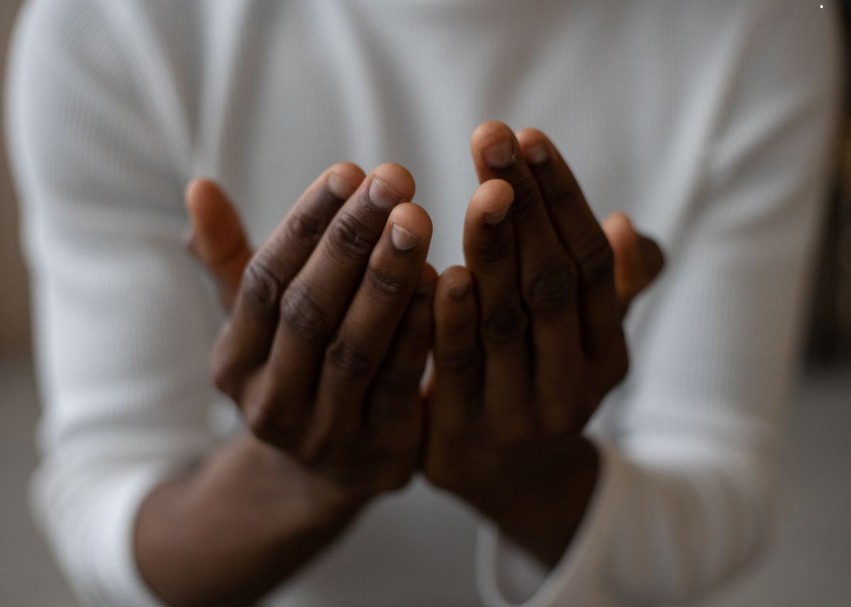 Programme éducatif pour les jeunes