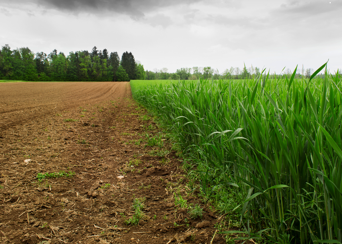 Programme de développement rural