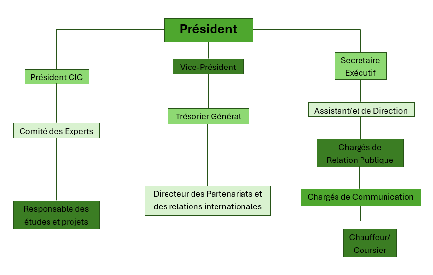 Organisation Fondation